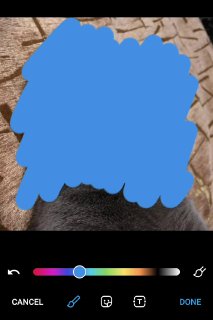 Редактор медиа: Отменить