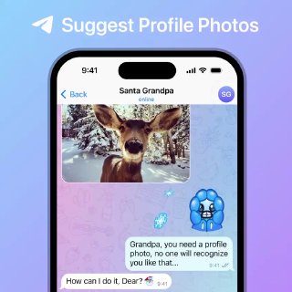 Предложенные фотографии профиля.