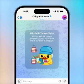 💼 Приветственное или стартовое окно чата.